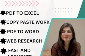 do urgent data entry, PDF to excel, copy paste and web research