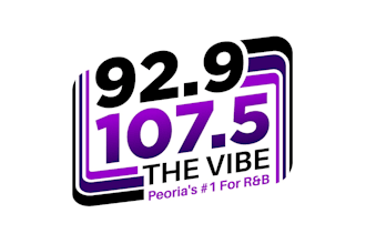 create professional and awesome radio logo design