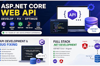 develop or fix asp net core web API in csharp