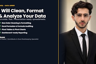 do excel data entry data cleaning formatting and pivot table analysis