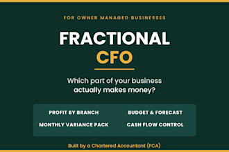 be your cfo lead your company to profitability
