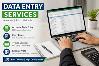 do accurate data entry, copy paste and data typing