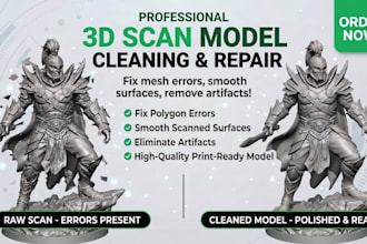 repair and optimize 3d scans
