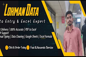 data entry, PDF to excel, google sheets expert