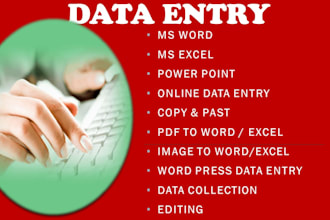 ms word editing, formatting, design, and document creation
