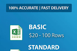 do data entry, excel work and spreadsheet management