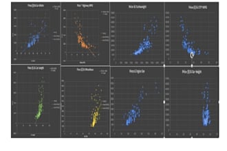 perform statistical data analysis using spss, stata, r, and excel