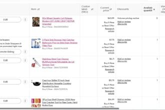 ebay listing management and optimization