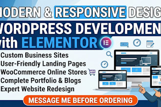 build a professional wordpress elementor website