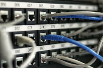 migrate and transfer your website or hosting safely
