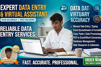 do fast data entry, excel data copy paste, and website research