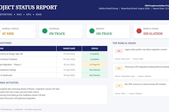 create a professional pmo project status report and reporting pack