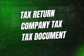 do financial statement preparation , audit report
