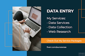 do professional data entry and virtual assistant work
