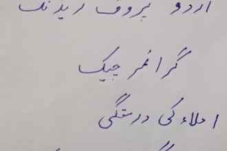 proofread and edit your urdu and punjabi documents with perfect grammar