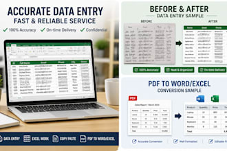 do accurate data entry, excel data cleaning and formatting