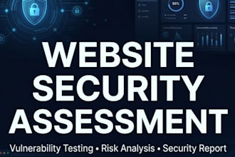 do professional web security and vulnerability assessment