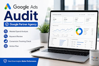 audit google search or pmax campaign
