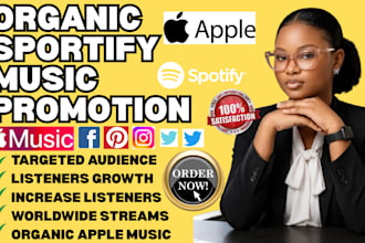 professionally write and distribute music press releases and PR