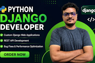your django web application expert for startup companies and online business