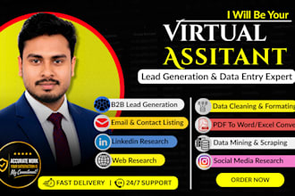do web research, data mining and mailing list development