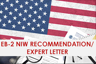write recommendation letter and expert opinion for eb2 niw eb1a 01 visa