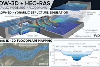floodplain hydrologic analysis, flow 3d, hydraulic modelling in hec ras 1d 2d