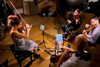 record live string section, violin, viola, cello and contrabass for your project