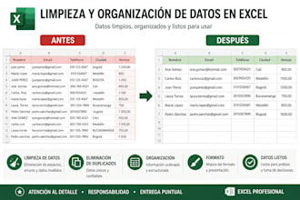 organize, clean and manage your data in excel
