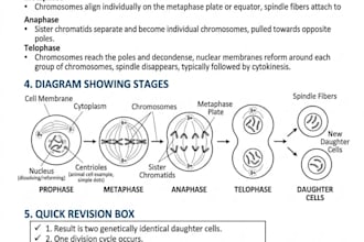 create easy to understand biology notes and mcq question sets