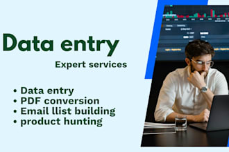 do fastest data entry in low price