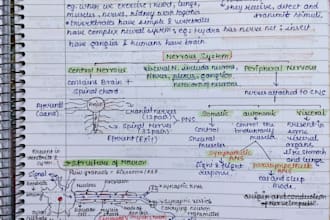 create neat handwritten notes and assignments
