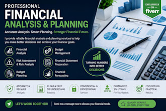 provide professional financial analysis and management services
