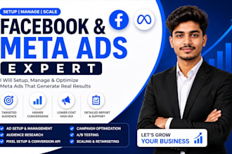 set up and manage facebook and meta ads campaigns