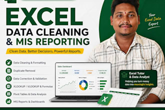 excel data cleaning data validation and mis reporting
