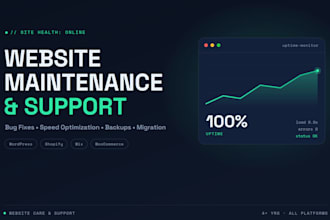 do website maintenance and website speed optimization