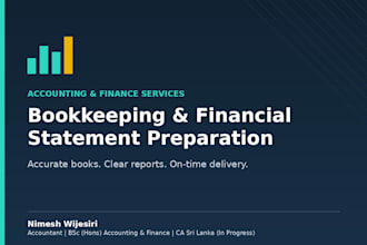 do professional bookkeeping and financial statements