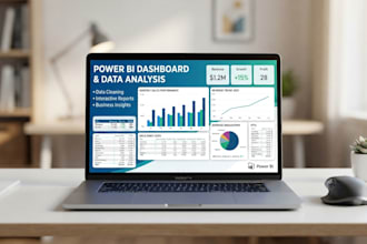 do professional data analysis and create dashboards