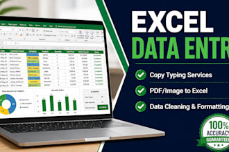excel data entry and copy typing