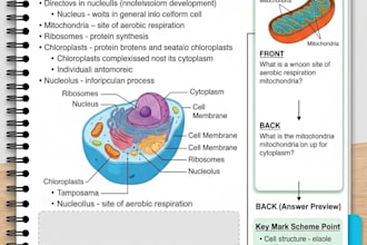 make aesthetic igcse bio and chemistry study notes