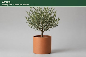design shopify product listing images from your photos
