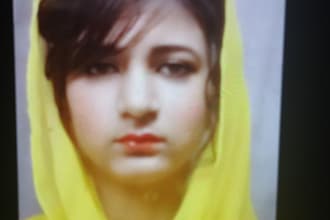 do professional english to urdu translation and punjabi translation