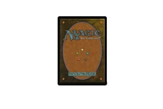 teach how to play magic the gathering