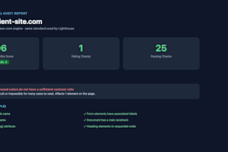 run a full accessibility wcag compliance audit on your website