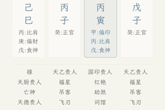 have a professional bazi eight characters reading