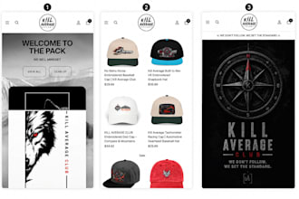 help you set up and launch your shopify store