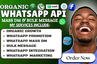 setup whatsapp API, whatsapp marketing, whatsapp mass dm and automation