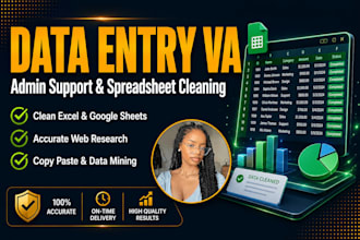 data entry virtual assistant excel spreadsheet admin support personal assistant