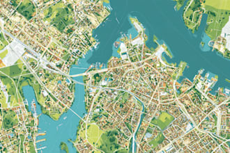 design high quality vector map of any area