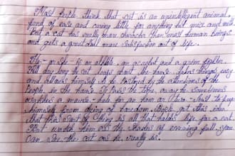 write anything with my clean handwriting